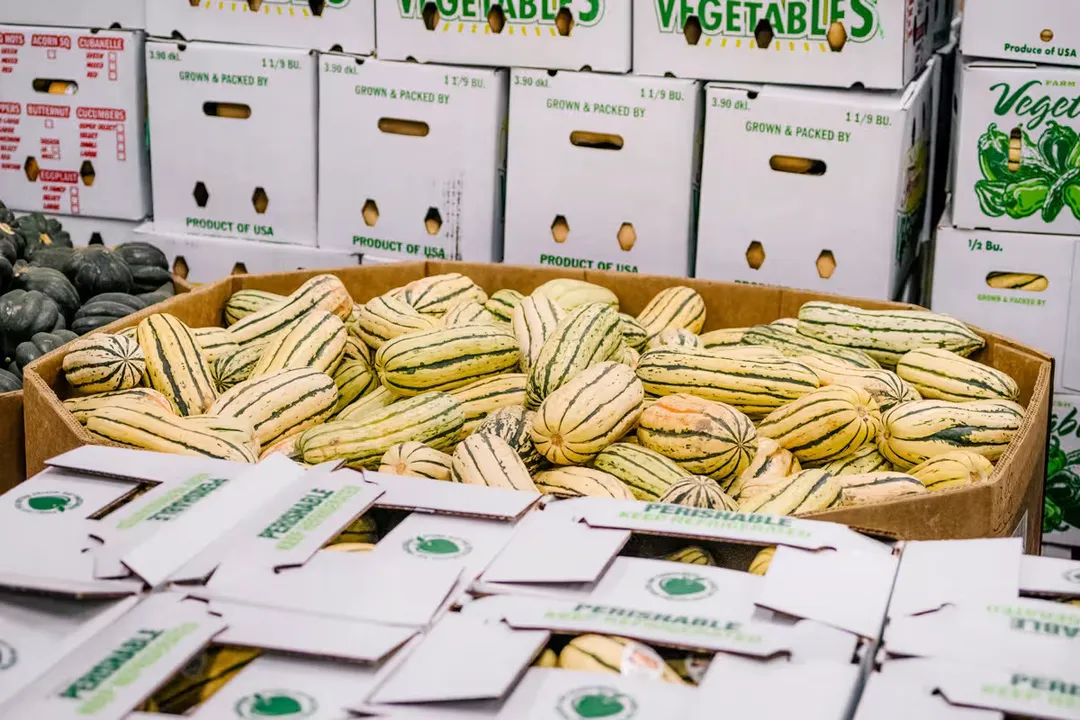 Health Benefits of Delicata, Culinary Simplicity