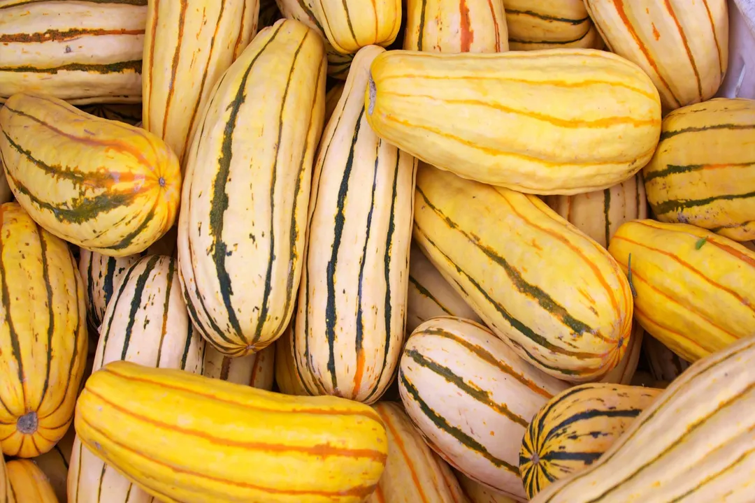 Health Benefits of Delicata, Gourd Comparison