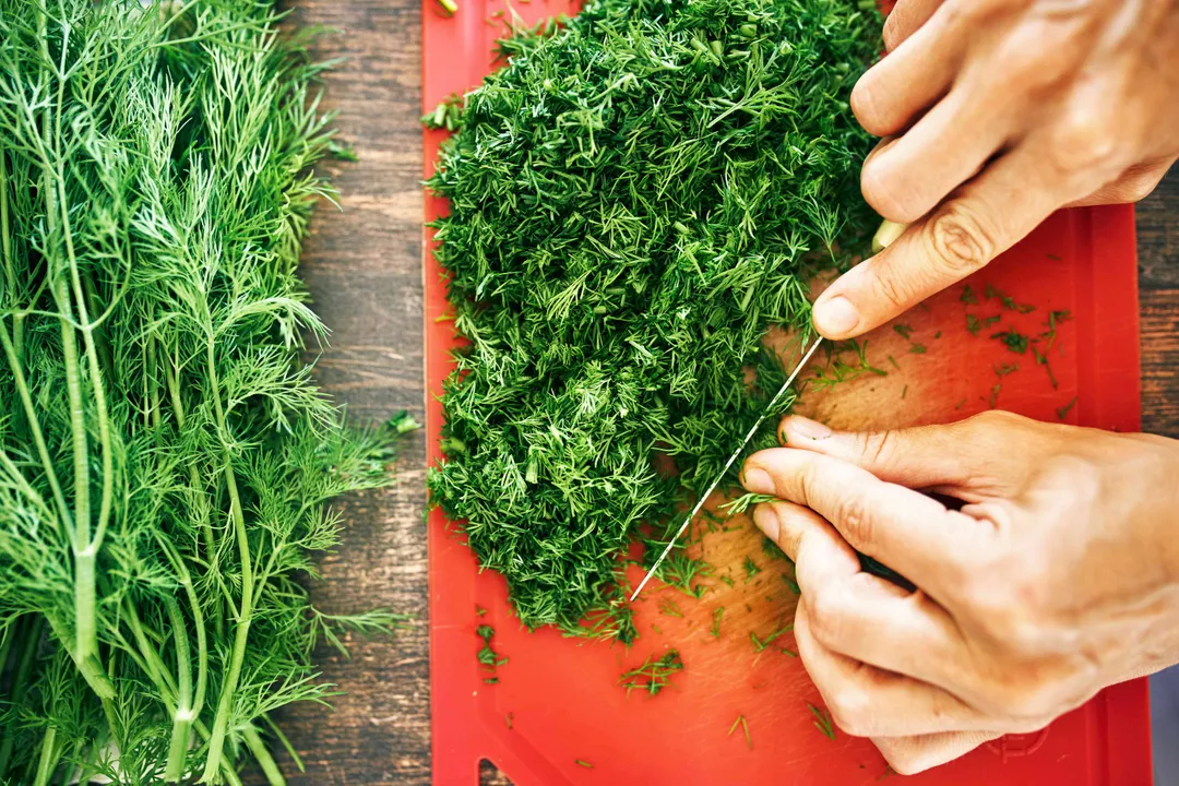 Health Benefits of Dill, Antioxidant Power