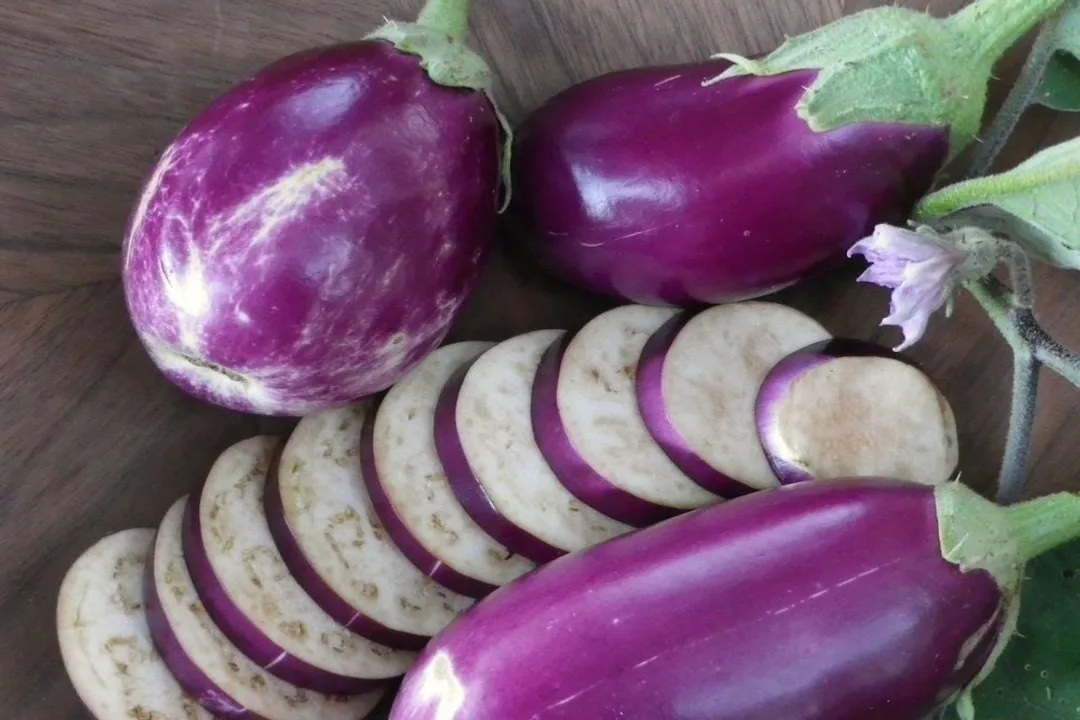 Health Benefits of Eggplant, Concentrated Antioxidants