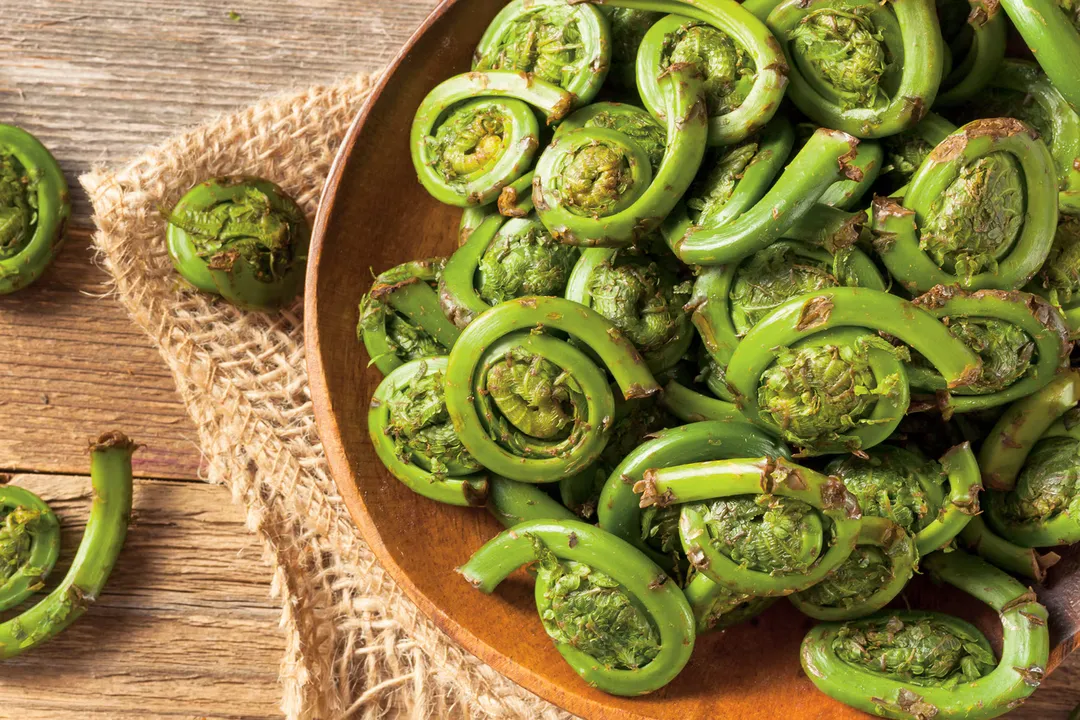 Health Benefits of Fiddlehead, Visual Identification