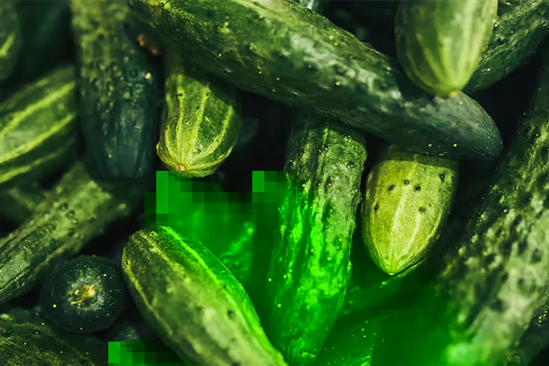 Health Benefits of Field Cucumber, Antioxidant Richness