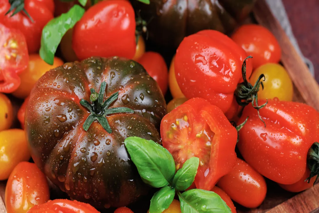 Health Benefits of Fiorentino Tomato, Heirloom Character