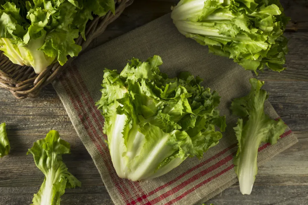 Health Benefits of Frisée, Gut Health