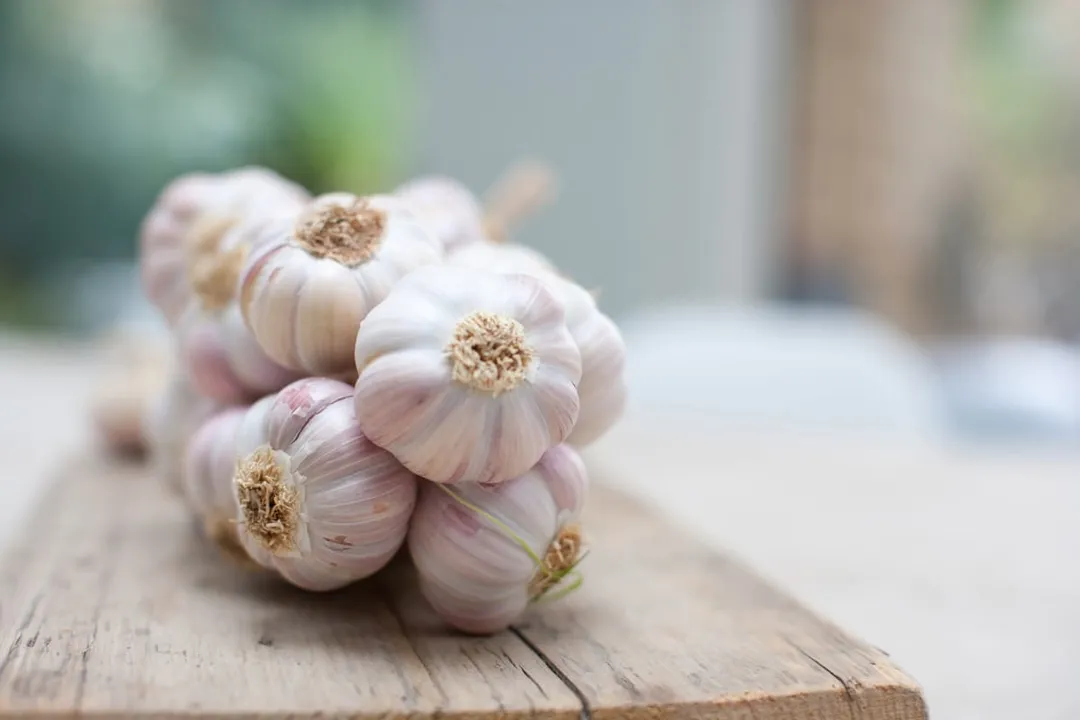 Health Benefits of Garlic, Cellular Protection