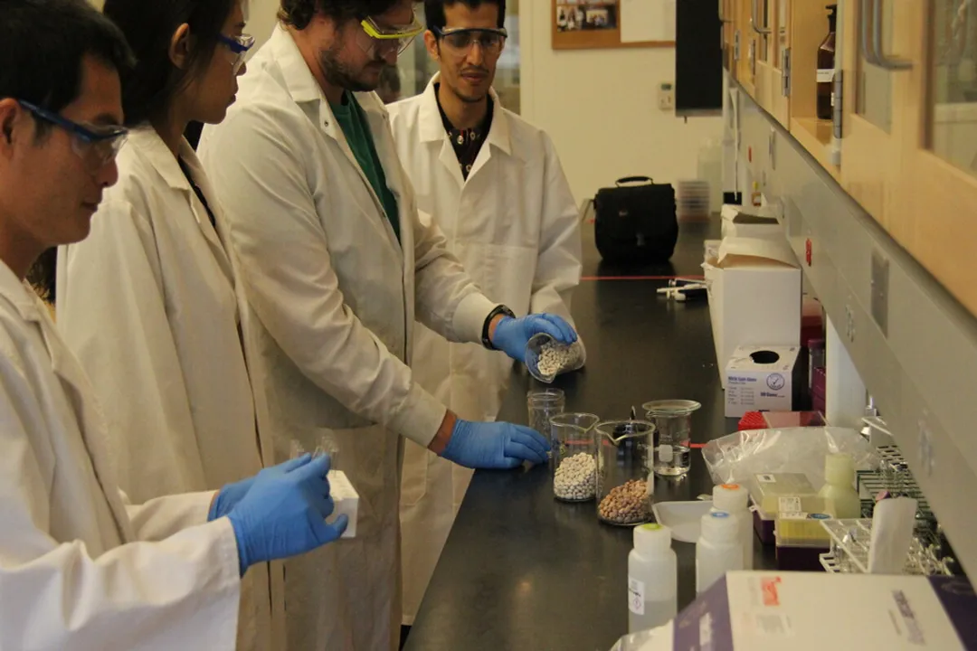 Health Benefits of Great Northern Bean, Fiber Power