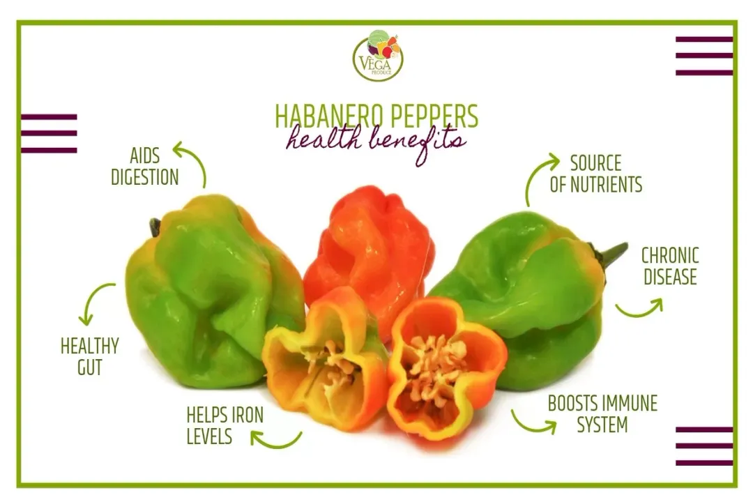 Health Benefits of Habanero Pepper, Capsaicin Power