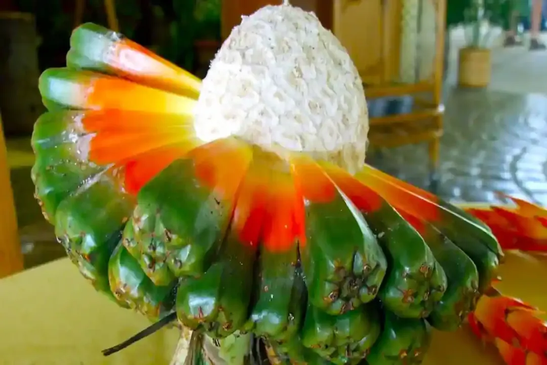 Health Benefits of Hala fruit