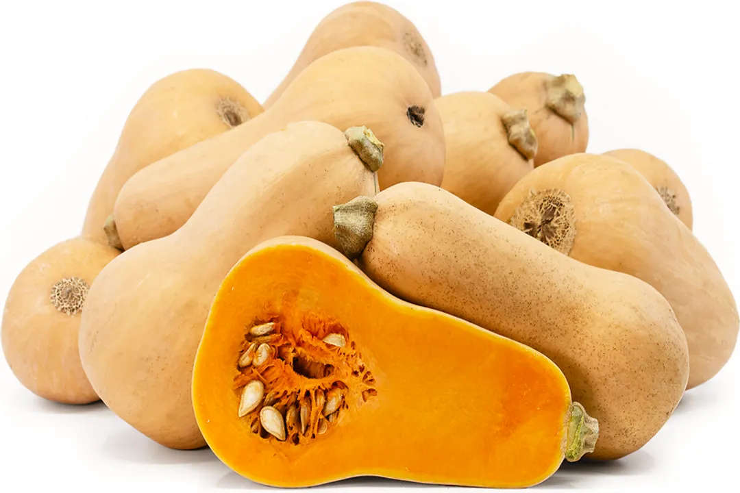 Health Benefits of Honey Bear Squash, Key Nutrients