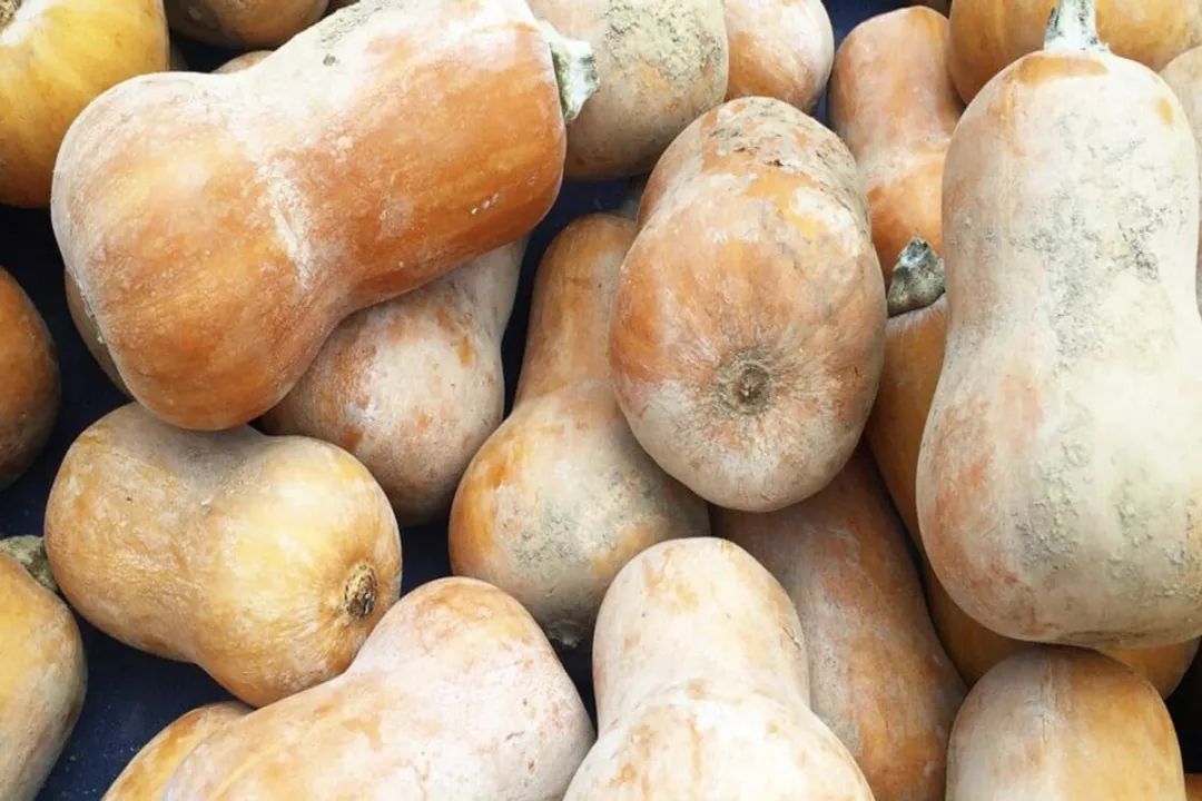 Health Benefits of Honey Bear Squash, Flavor Profile