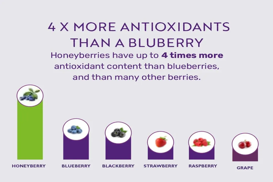 Health Benefits of Honeyberry, Berry Identity