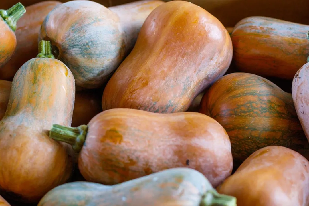 Health Benefits of Honeynut Squash