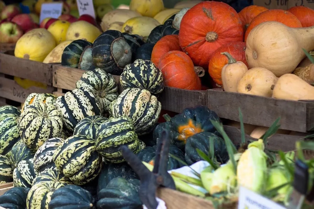 Health Benefits of Hubbard Squash, Antioxidant Richness