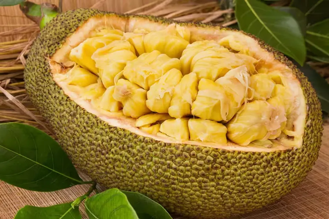 Health Benefits of Jackfruit, Digestive Health