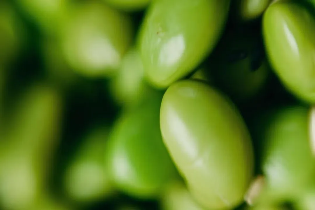 Health Benefits of Kidney Bean, Mineral Richness