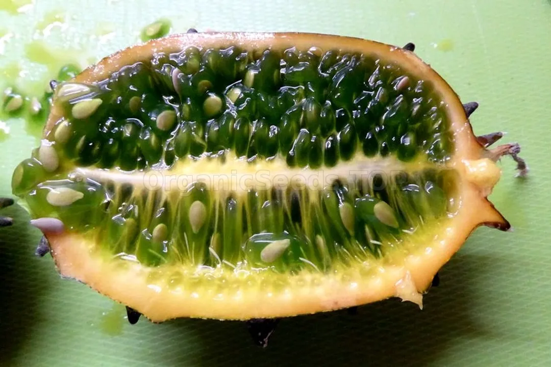 Health Benefits of Kiwano (horned melon), Nutrient Profile