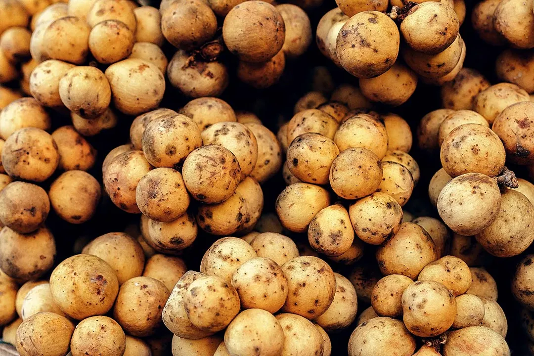 Health Benefits of Lanzones, Skin and Tissue Health