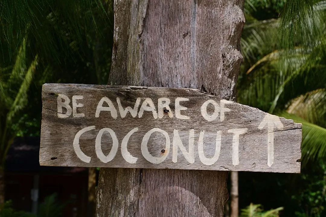 Health Benefits of Lanzones, Metabolic Health Considerations