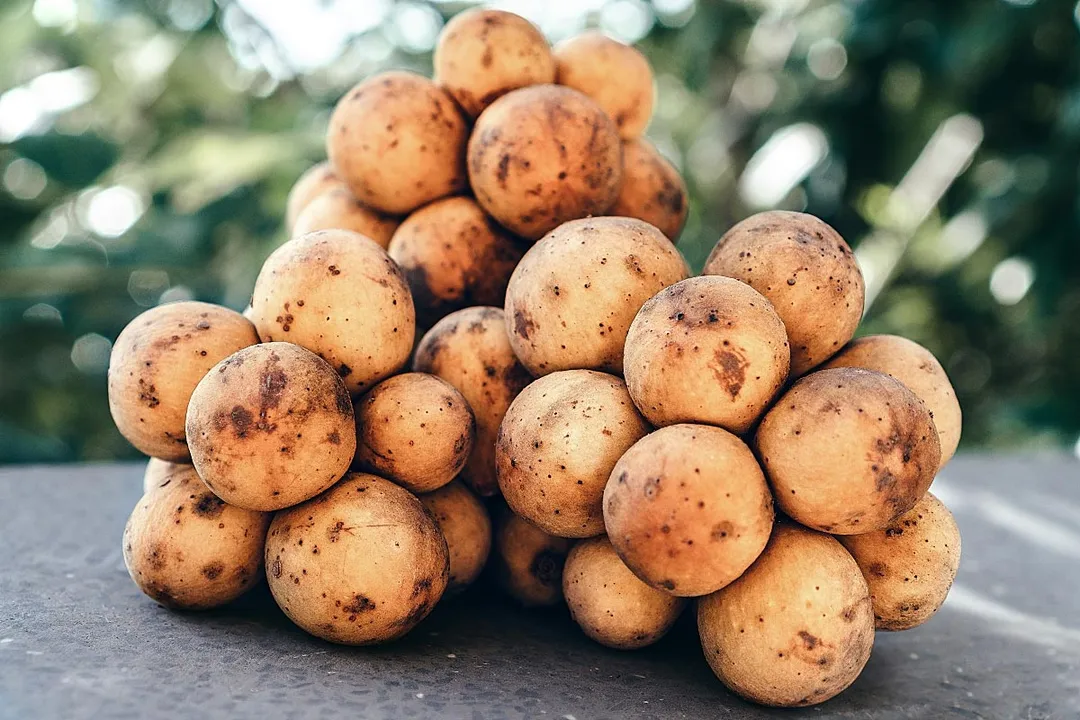 Health Benefits of Lanzones, Nutritional Profile