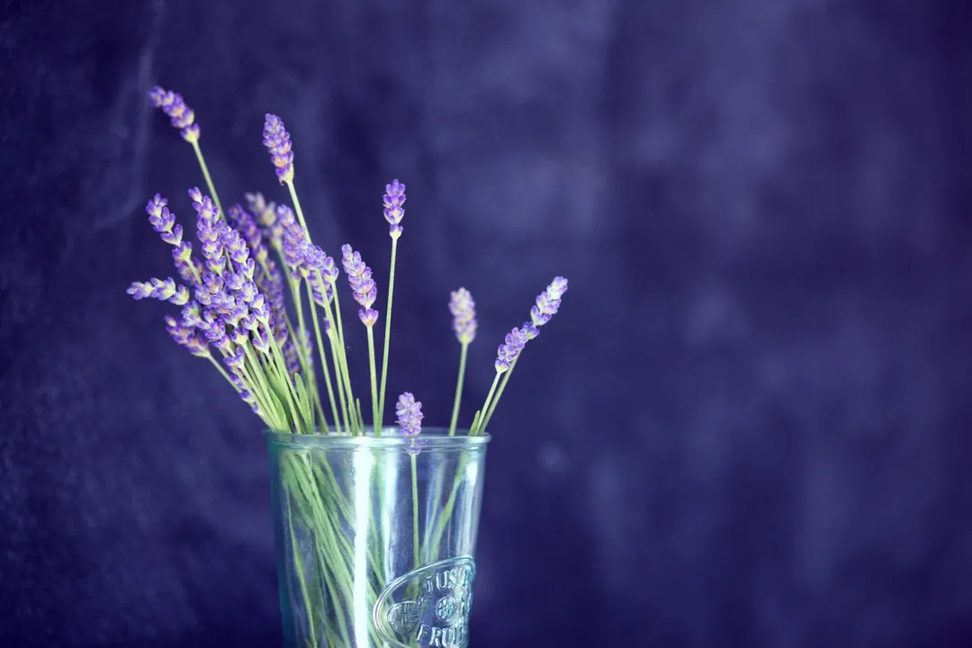 Health Benefits of Lavender, Internal Functions
