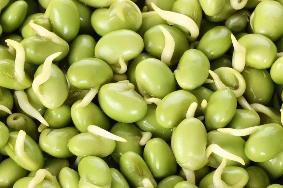 Health Benefits of Lima bean, Heart Support