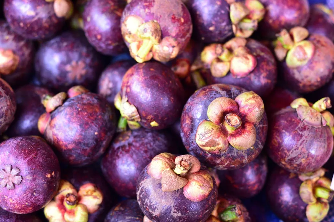 Health Benefits of Mangosteen, Inflammation Management