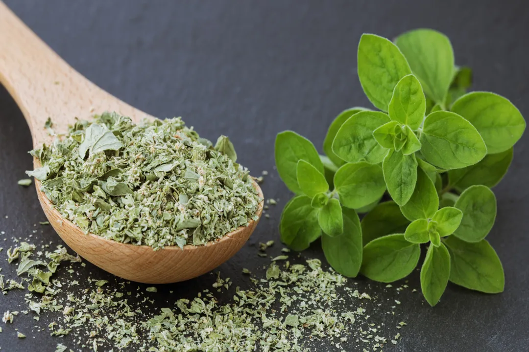 Health Benefits of Marjoram, Active Constituents