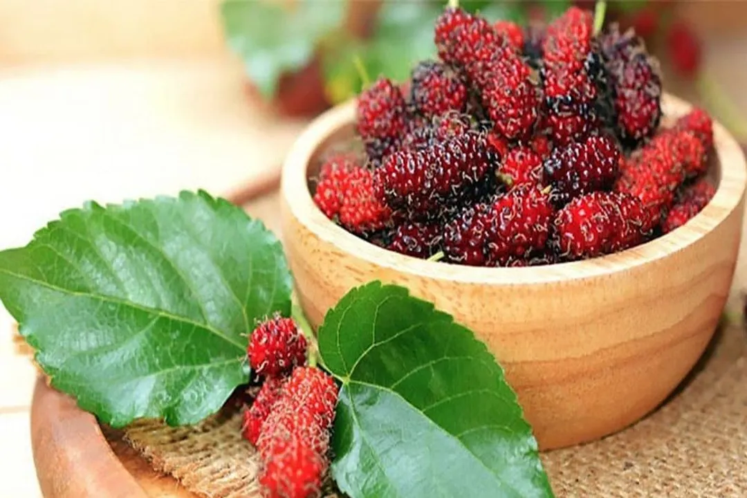 Health Benefits of Mulberry
