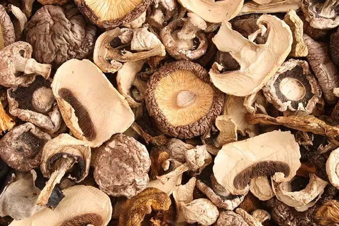 Health Benefits of Mushroom, Immunity Boost