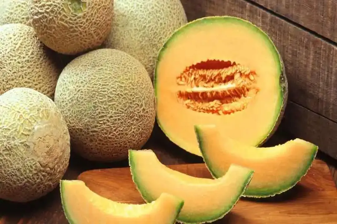 Health Benefits of Muskmelon, Hydration Source