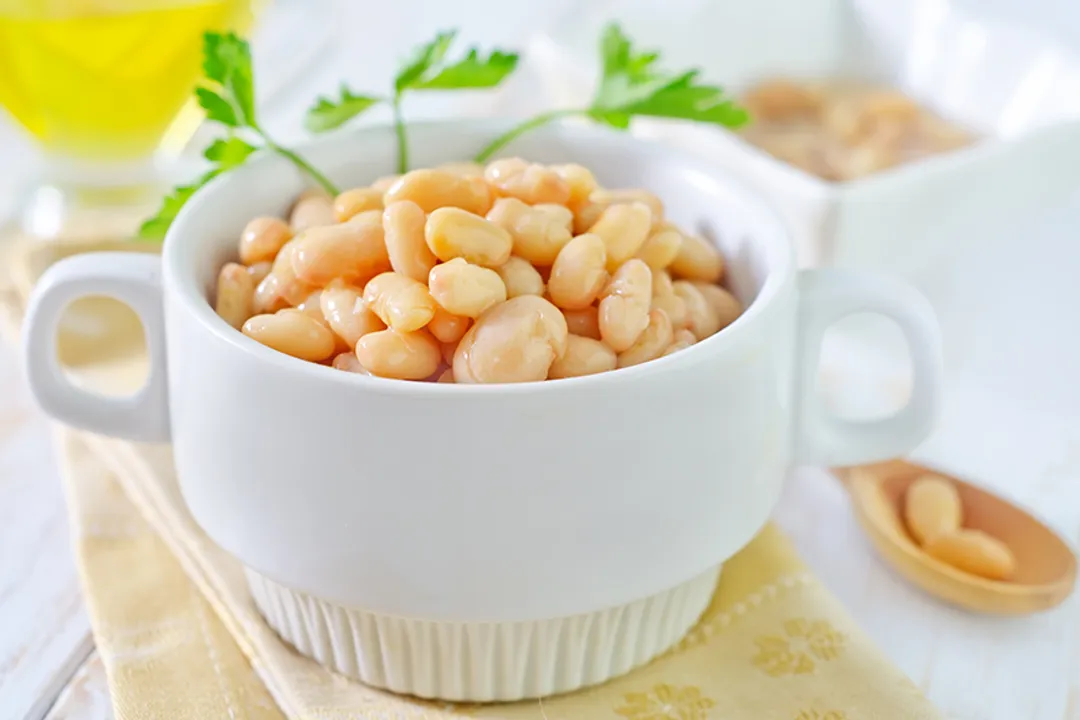 Health Benefits of Navy Bean, Gut Health
