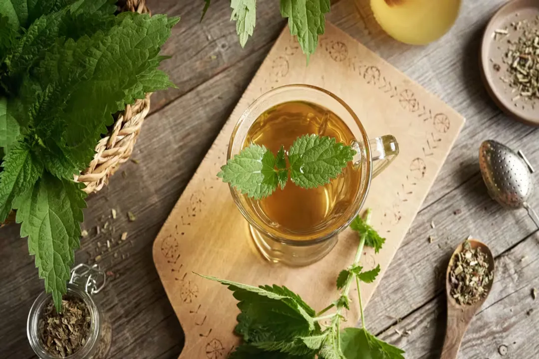 Health Benefits of Nettle