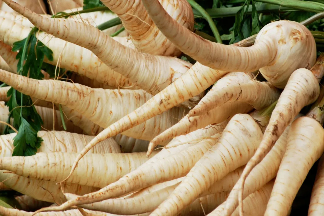 Health Benefits of Parsnip, Root Nutrition