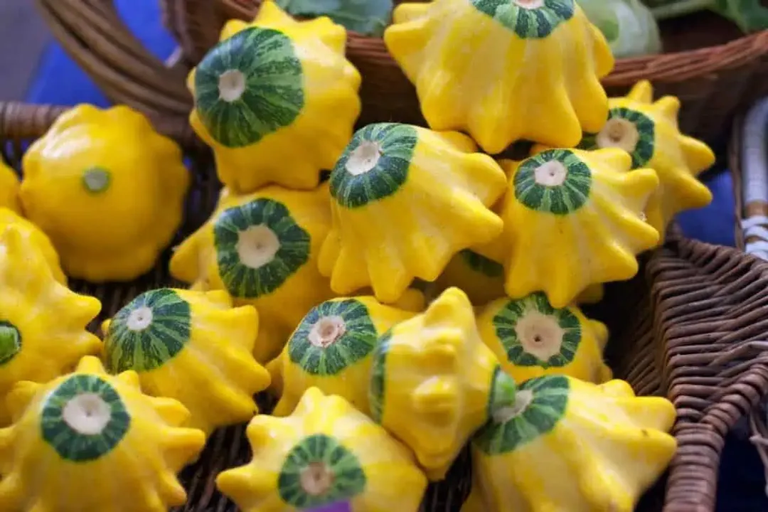 Health Benefits of Pattypan Squash
