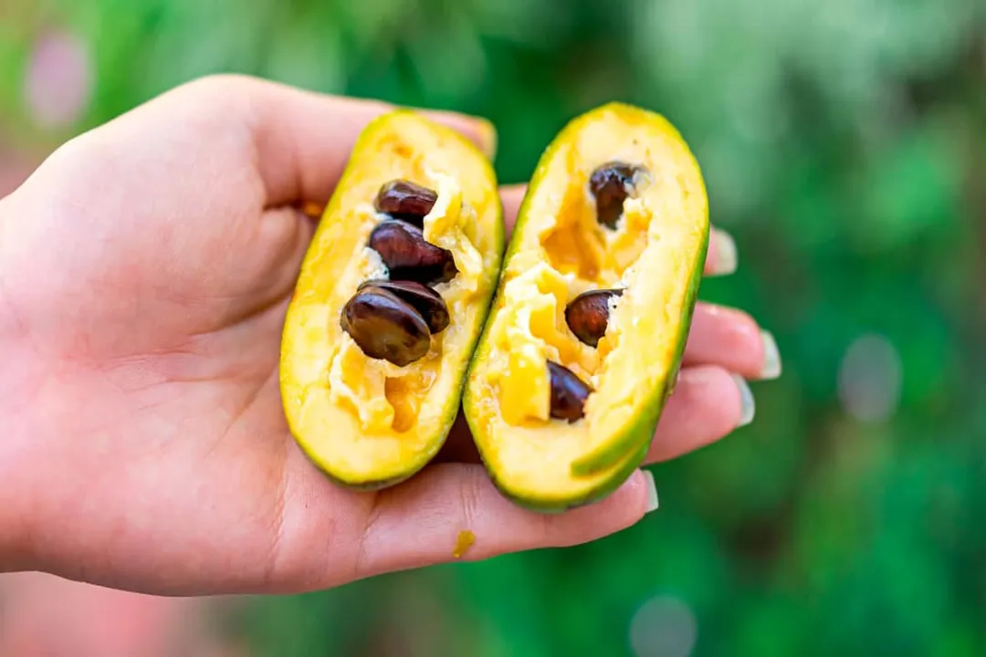 Health Benefits of Pawpaw, Nutritional Content