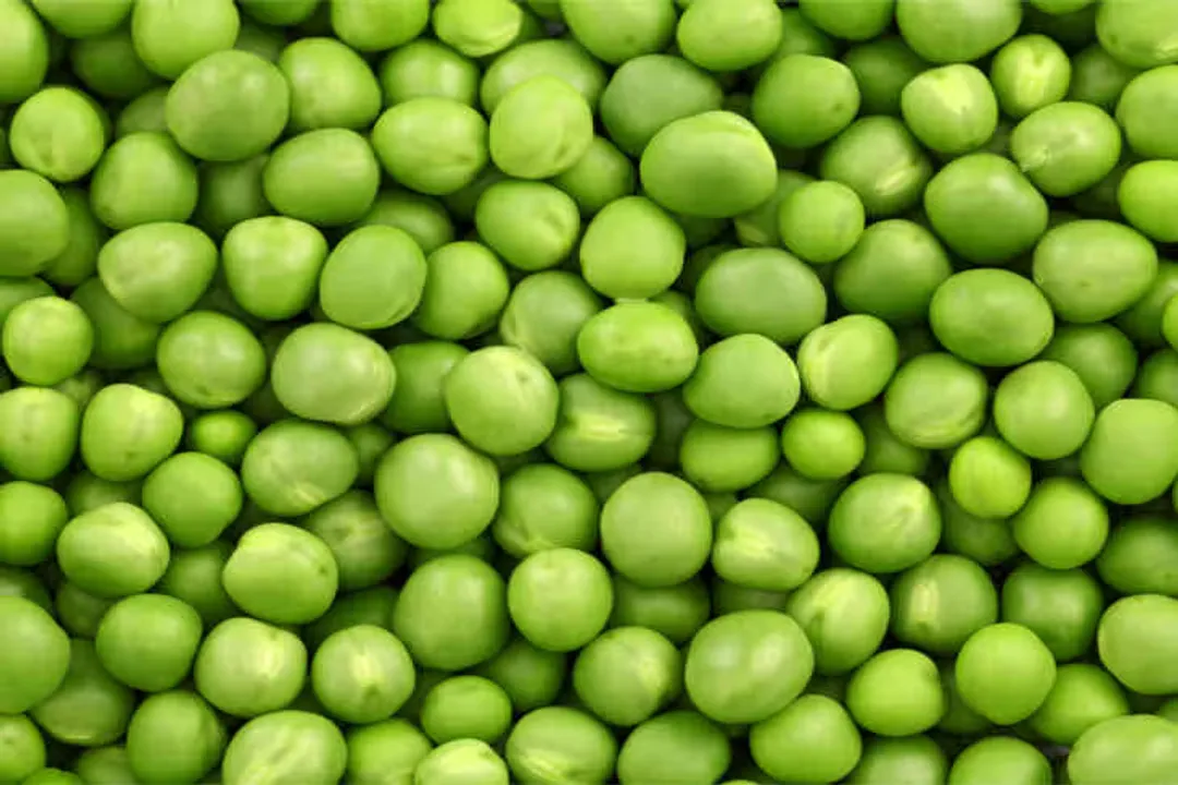 Health Benefits of Pea, Plant Protein
