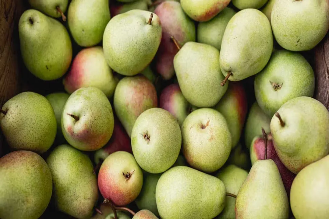 Health Benefits of Pear, Fiber Content