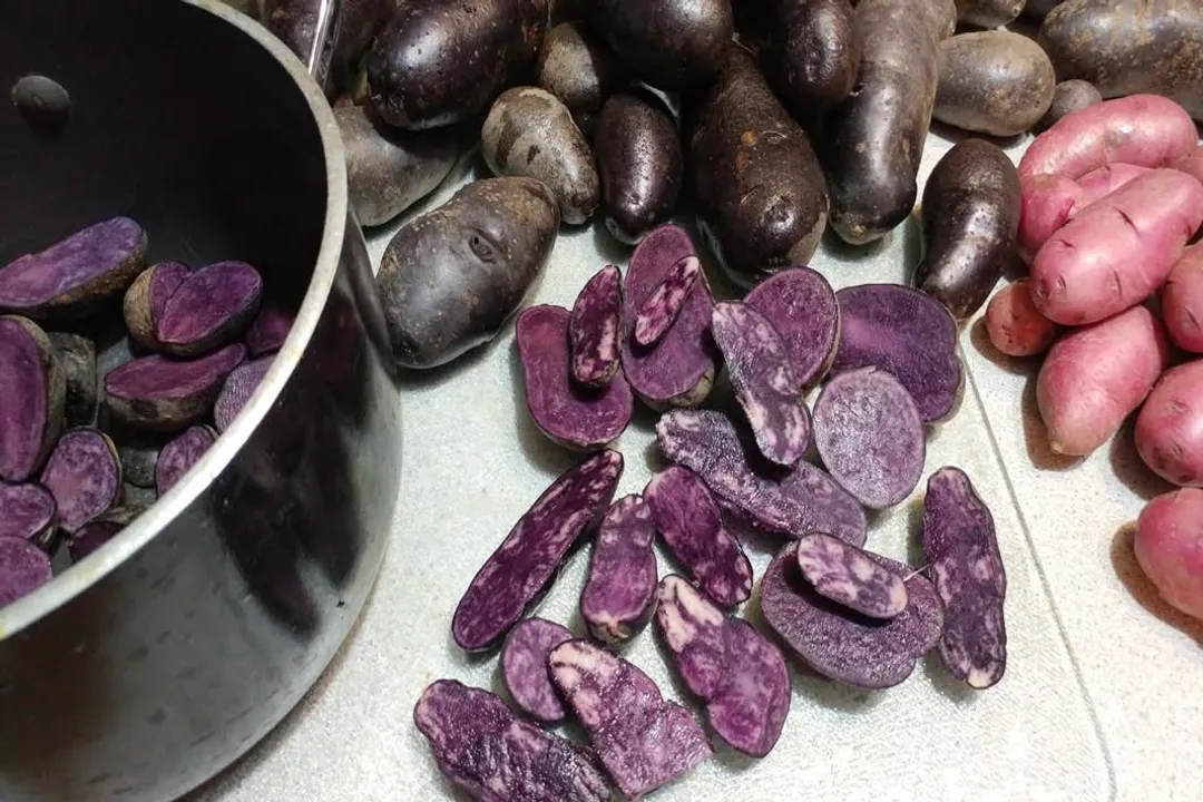Health Benefits of Peruvian Purple Potato, Antioxidant Power