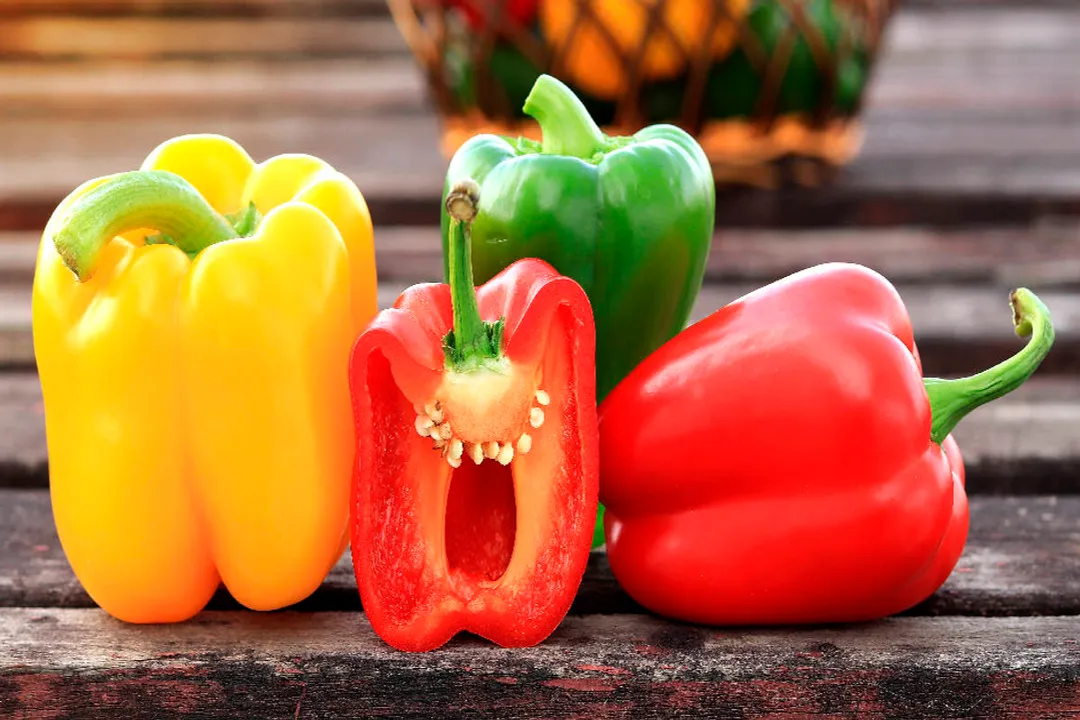 Health Benefits of Purple Bell Pepper