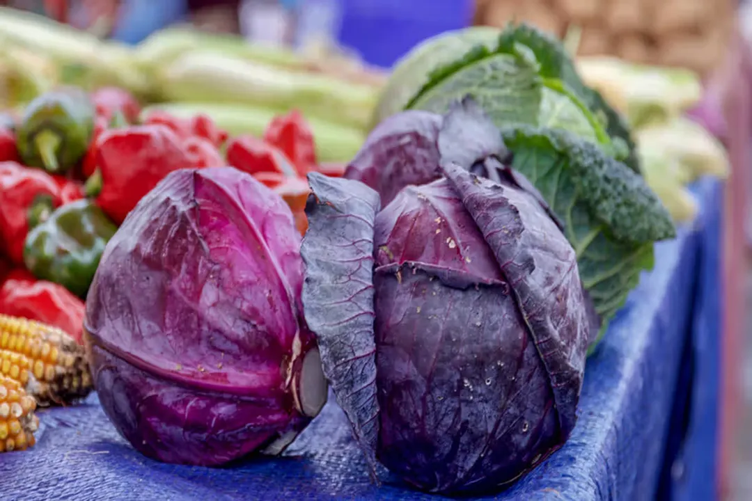 Health Benefits of Purple Cabbage, Digestive Health