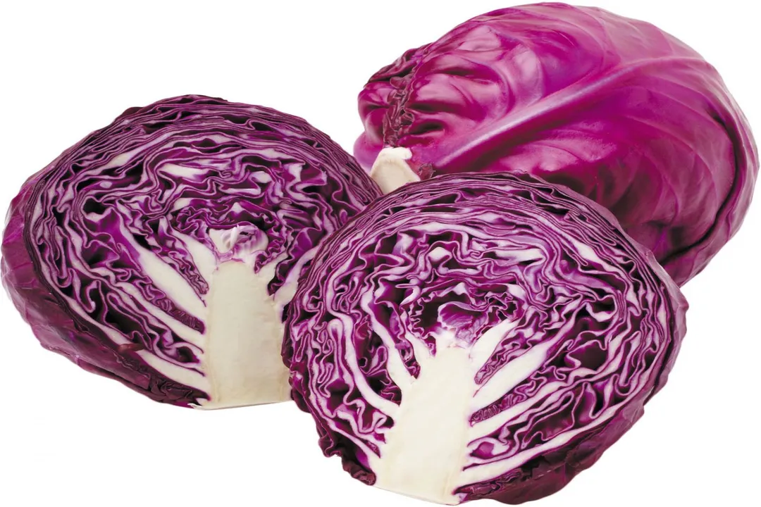 Health Benefits of Purple Cabbage, Nutrient Profile