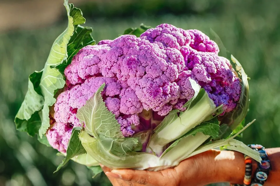 Health Benefits of Purple Cauliflower