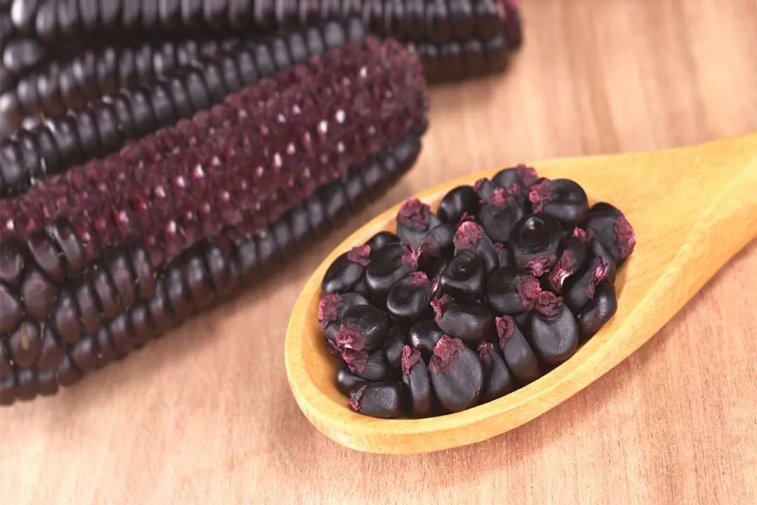 Health Benefits of Purple Corn, Pigment Potency