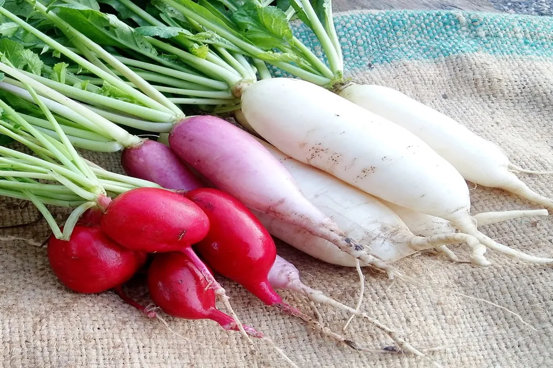 Health Benefits of Radish