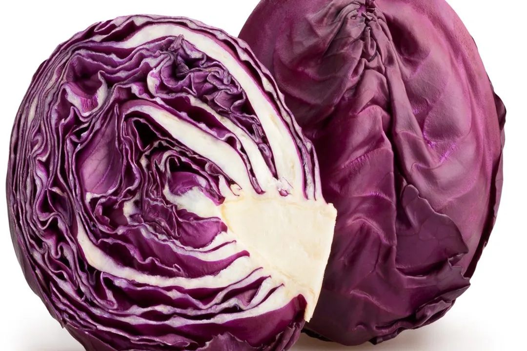 Health Benefits of Red Cabbage