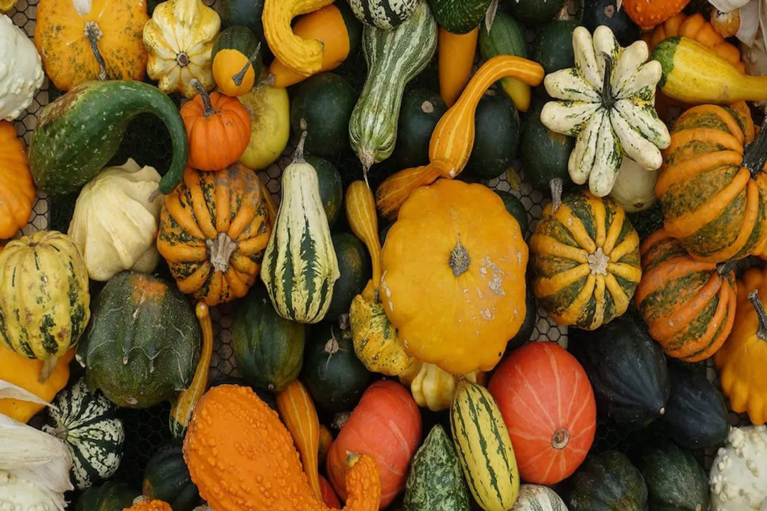 Health Benefits of Red Kuri Squash, Nutritional Density