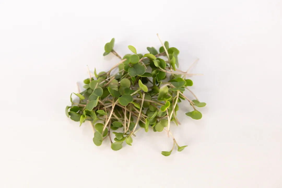 Health Benefits of Red Russian Kale, Nutrient Density