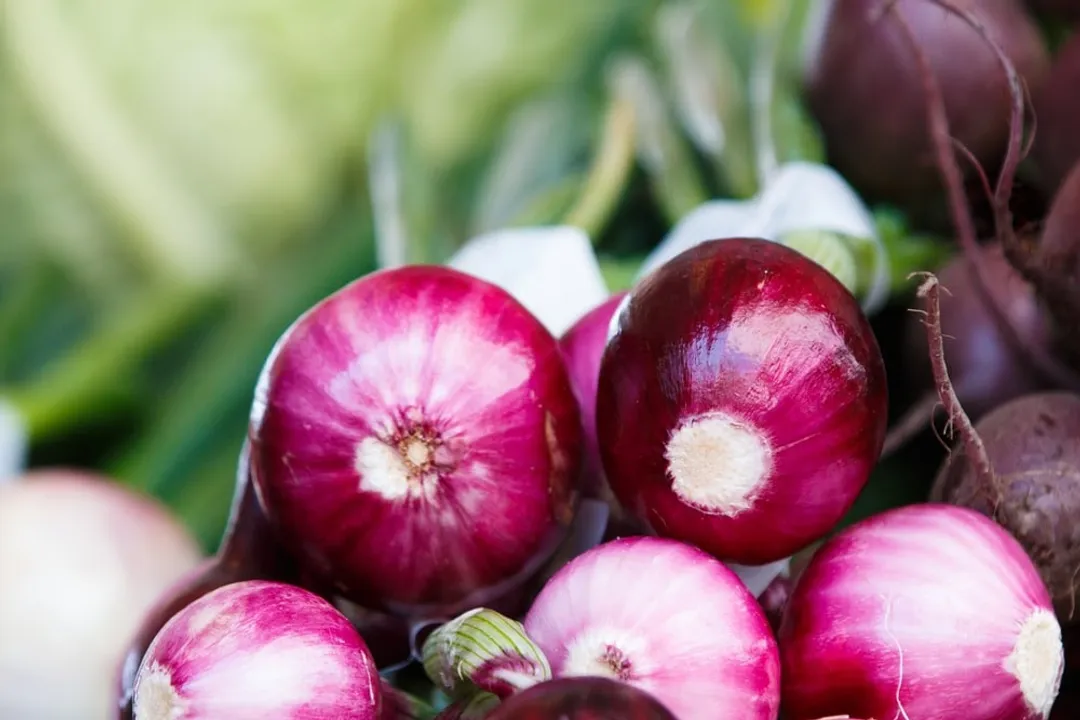 Health Benefits of Red Wing Onion, Potential Cancer Inhibition