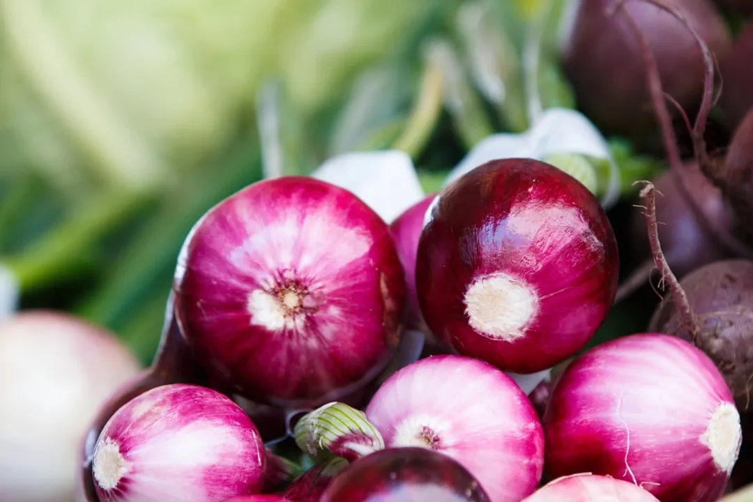 Health Benefits of Red Wing Onion, Managing Inflammation