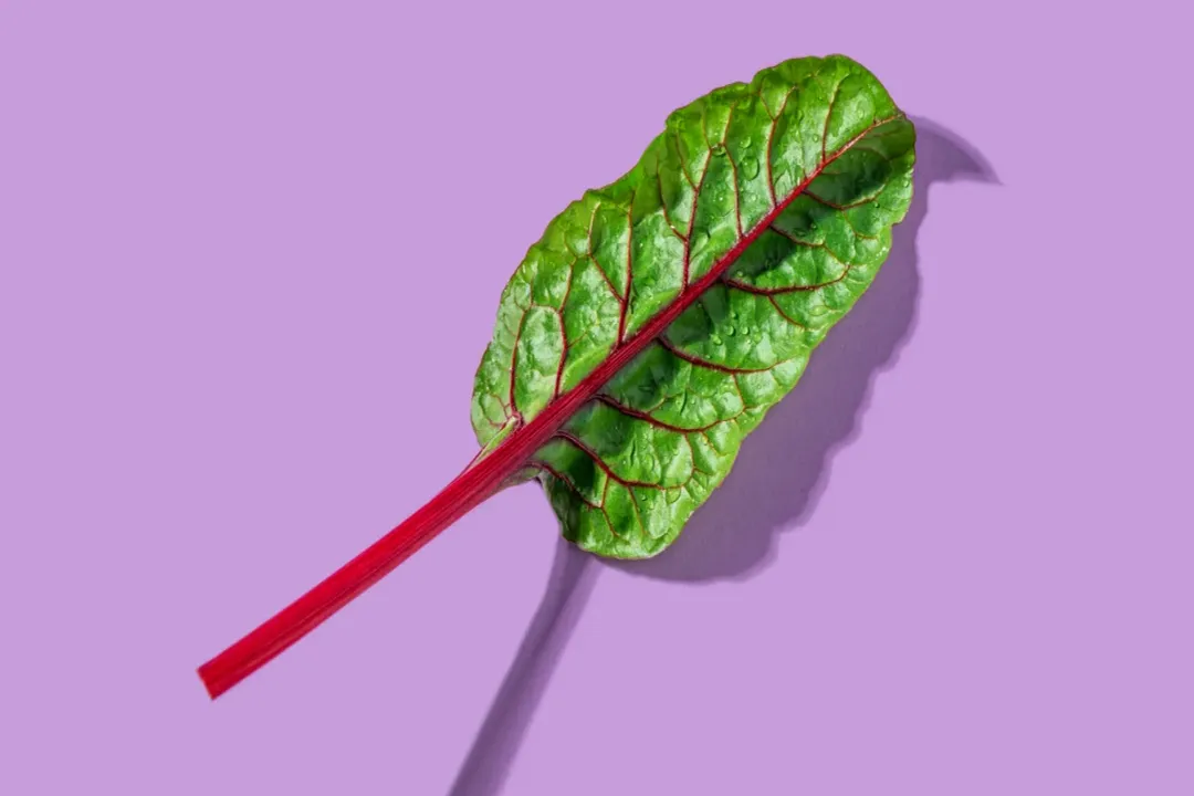 Health Benefits of Rhubarb, Nutritional Profile